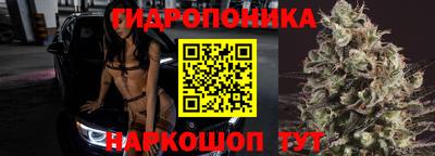 spice Заводоуковск