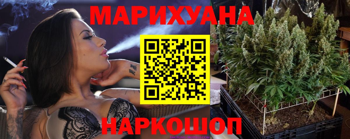 Шишки марихуана планчик Великие Луки